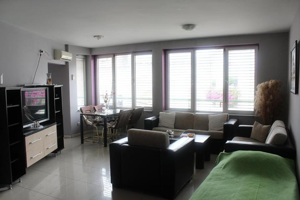 Apartment Natasa Vrsac Bagian luar foto