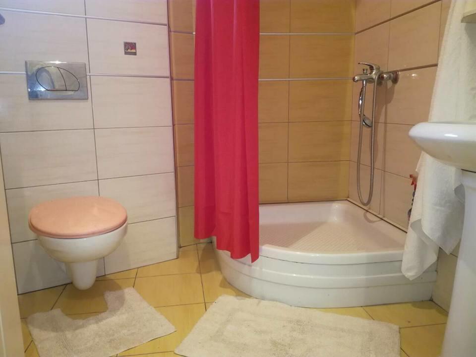 Apartment Natasa Vrsac Bagian luar foto