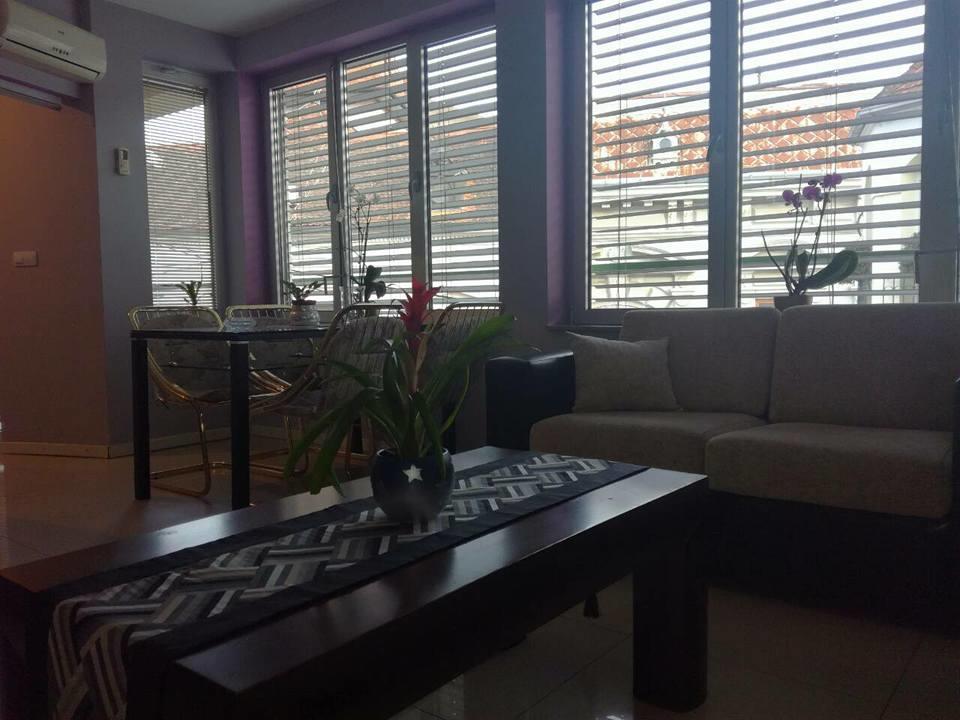 Apartment Natasa Vrsac Bagian luar foto