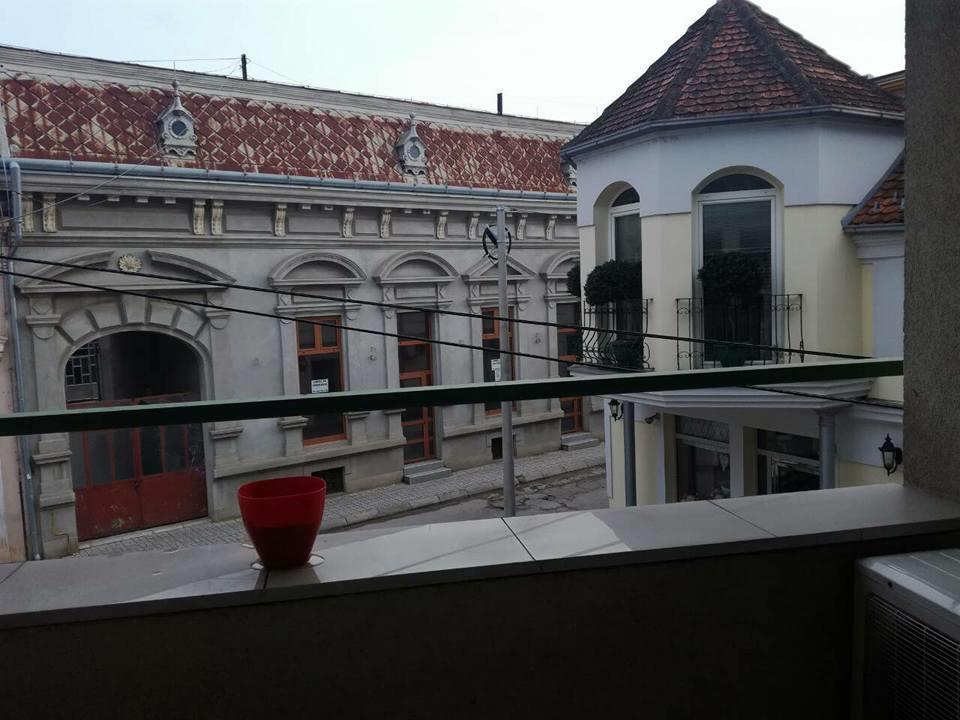 Apartment Natasa Vrsac Bagian luar foto